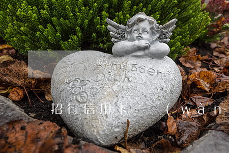 招行信用卡兩萬(wàn)額度逾期
