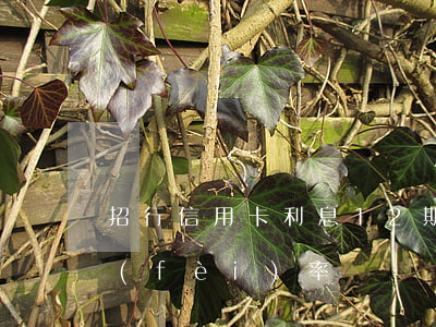 招行信用卡利息12期(招行信用卡12期費(fèi)率)