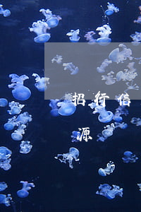 招行信用卡利息5折-滬江西語(yǔ)資源