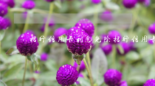 招行信用卡利息免除(招行信用卡利息免除嗎)