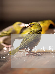 招行信用卡利息明細(xì)(招行的利息)