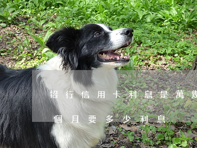 招行信用卡利息是萬幾(招行信用卡1萬元一個月要多少利息)