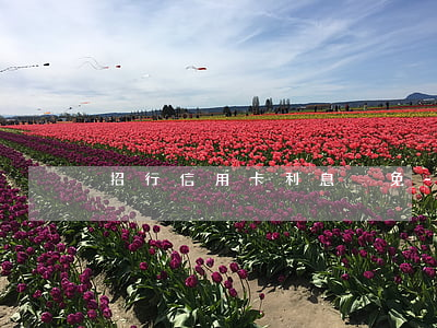 招行信用卡利息減免-招行信用卡利息減免