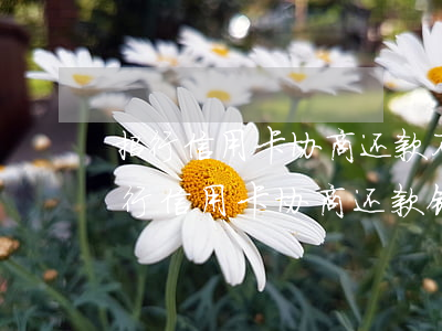 招行信用卡协商还款不成功怎么办(欠招商银行信用卡,协商还款银行不同意)