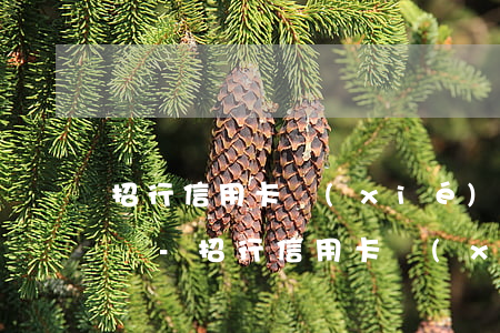 招行信用卡協(xié)商分期還款客服電話-招行信用卡協(xié)商分期還款客服電話是多少