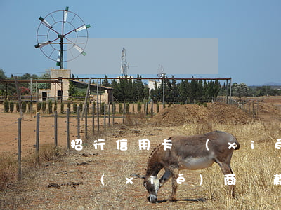 招行信用卡協(xié)商還款怎么說(招行協(xié)商還款終于成功了只給12期)