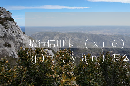 招行信用卡協(xié)商還款經(jīng)驗(yàn)怎么寫(xiě)(招商銀行信用卡 協(xié)商還款)