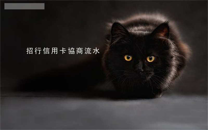 招行信用卡協商流水