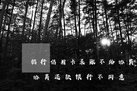 招行信用卡呆账不给协商(欠招商银行信用卡,协商还款银行不同意)