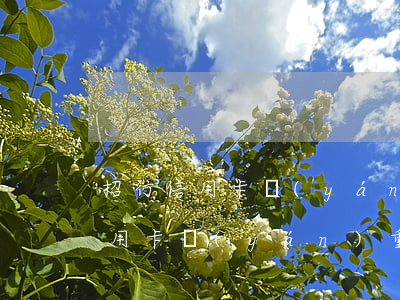 招行信用卡嚴(yán)重逾期后果(招行信用卡嚴(yán)重逾期后果)