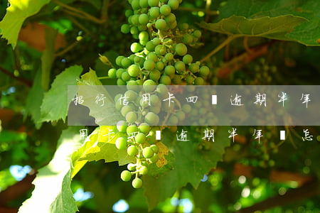 招行信用卡四萬逾期半年會怎么樣-招行信用卡四萬逾期半年會怎么樣嗎