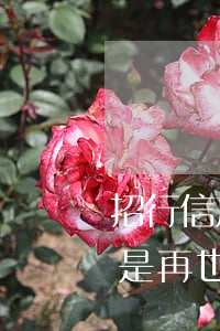 招行信用卡因為逾期被鎖了(招行逾期過是不是再也不能辦信用卡了)