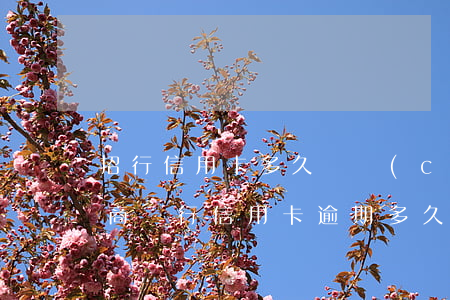 招行信用卡多久會產(chǎn)生逾期(招商銀行信用卡逾期多久會被說惡意拖欠)