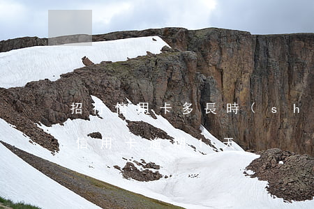 招行信用卡多長時(shí)間算逾期(招行信用卡逾期1天)