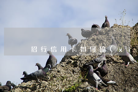 招行信用卡如何協(xié)商
