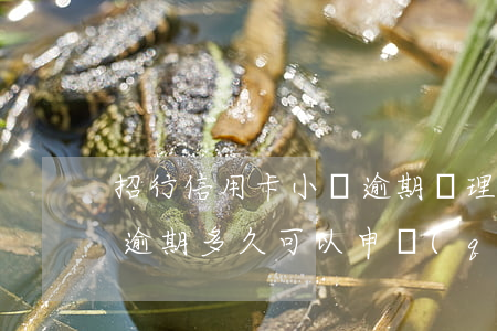 招行信用卡小額逾期處理方案上海 招商銀行逾期多久可以申請(qǐng)個(gè)性化還款