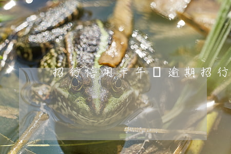 招行信用卡年費逾期(招行信用卡逾期1天)