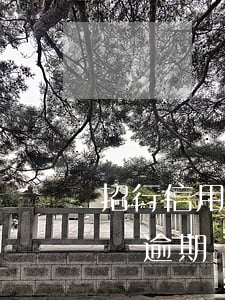 招行信用卡年費逾期沒還(招商銀行信用卡年費逾期幾天會有不良記錄)