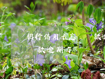 招行信用卡忘記還款逾期了(招行信用卡忘記還款逾期了)