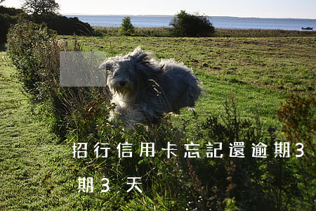 招行信用卡忘記還逾期3天(忘了還信用卡逾期3天)