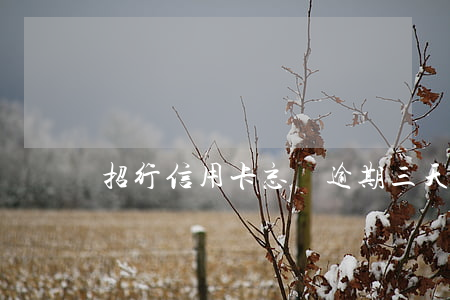 招行信用卡忘還逾期三天