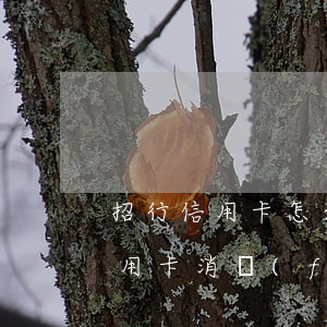 招行信用卡怎么查詢逾期記錄(怎么查招行信用卡消費(fèi)記錄)