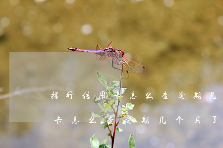 招行信用卡怎么查逾期几个月了-招行信用卡怎么查逾期几个月了