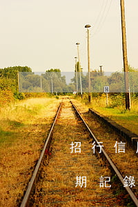 招行信用卡怎樣看逾期記錄(在哪看信用卡逾期記錄)