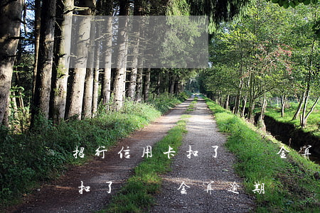 招行信用卡扣了違約金算逾期嗎（招行信用卡扣了違約金算逾期嗎）