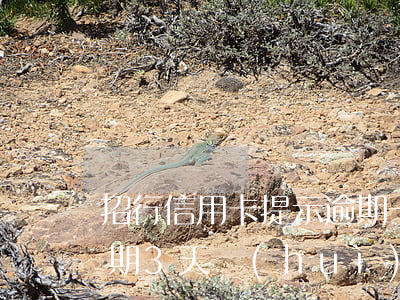 招行信用卡提示逾期一天(招商銀行信用卡逾期3天會(huì)有什么后果)
