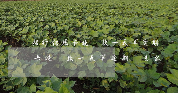 招行信用卡晚還款一天算逾期嗎-招行信用卡晚還款一天算逾期嗎怎么辦