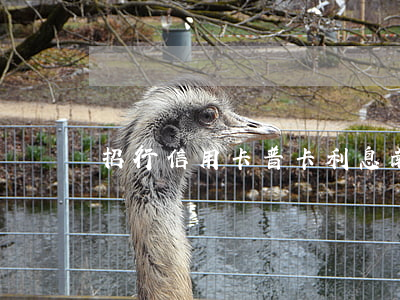 招行信用卡普卡利息(南昌夏天天氣)