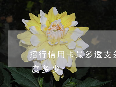 招行信用卡最多透支多少(招商銀行信用卡額度多少)