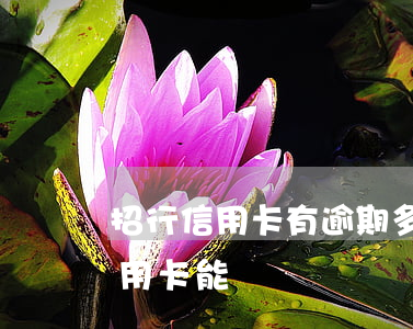招行信用卡有逾期多久會起訴(有逾期招行信用卡能過嗎)