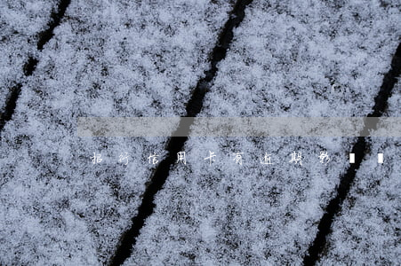 招行信用卡有逾期影響辦理房貸