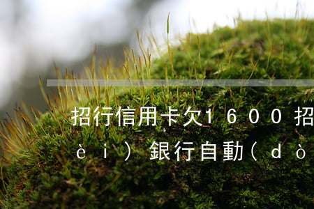 招行信用卡欠1600(招行信用卡欠費(fèi),銀行自動(dòng)扣費(fèi)怎么辦)