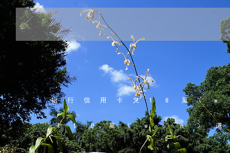 招行信用卡欠18萬(wàn)-招商信用卡10萬(wàn)還不上怎么辦