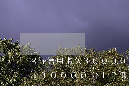 招行信用卡欠30000分幾期-招行信用卡30000分12期