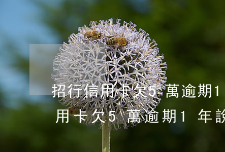 招行信用卡欠5萬逾期1年說上門-招行信用卡欠5萬逾期1年說上門是真的嗎