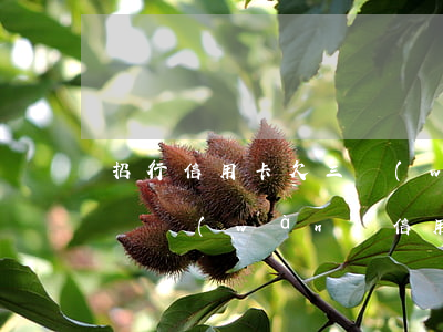 招行信用卡欠三萬(wàn)多(欠招商銀行兩萬(wàn)信用卡還不上真的會(huì)被起訴嗎)