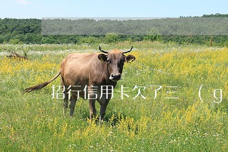 招行信用卡欠了三個(gè)月