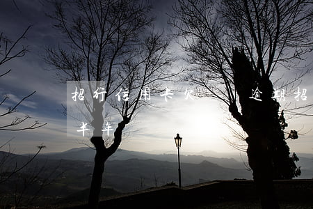 招行信用卡欠兩萬逾期(招行信用卡四萬逾期半年)