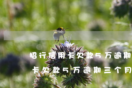 招行信用卡欠款5万逾期三个月-招行信用卡欠款5万逾期三个月会怎样