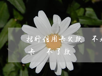 招行信用卡欠款還不起(為什么招商銀行信用卡還不了款)