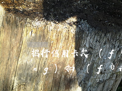 招行信用卡欠費(fèi),銀行自動(dòng)扣費(fèi)怎么辦（招行信用卡欠6611）