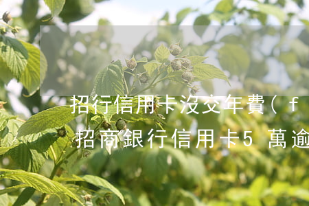 招行信用卡沒交年費(fèi)算逾期嗎-招商銀行信用卡5萬逾期1年