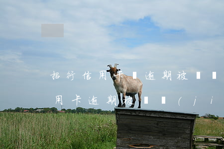招行信用卡無逾期被凍結(jié)(招行信用卡逾期被凍結(jié)有成功解凍的嗎)
