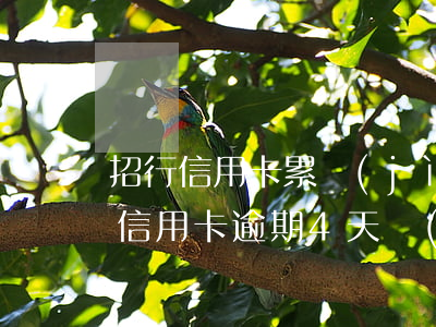 招行信用卡累計(jì)逾期4次(招商銀行信用卡逾期4天會(huì)有不良記錄嗎)