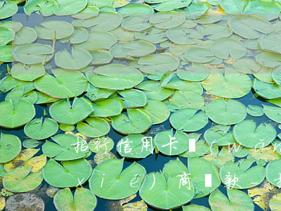 招行信用卡網(wǎng)上客服怎么協(xié)商還款-招行信用卡網(wǎng)上客服怎么協(xié)商還款的