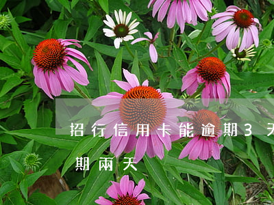 招行信用卡能逾期3天還款嗎(招行信用卡逾期兩天)